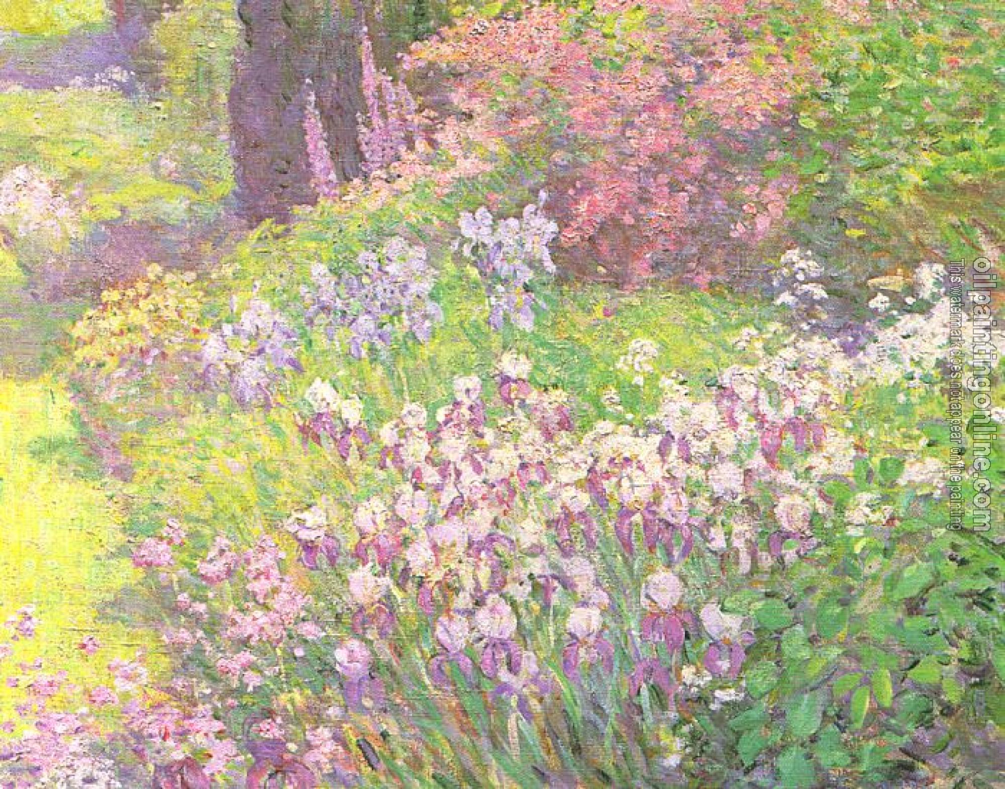 Chadwick, William - Irises